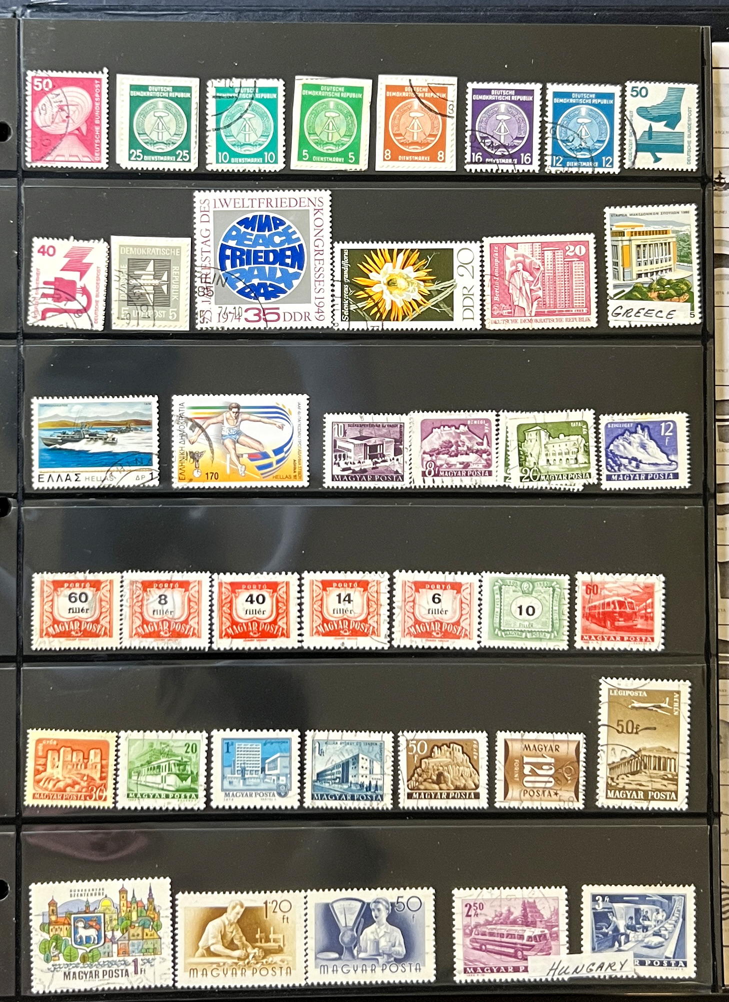 20260627_151428056_iOS.jpg
