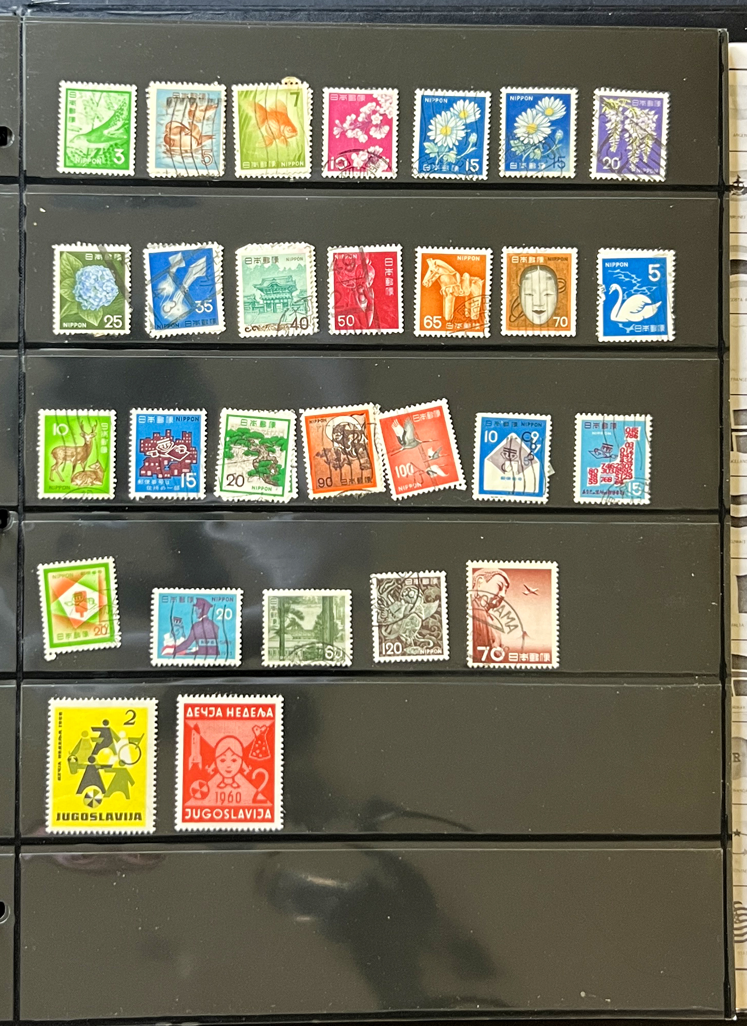 20260627_151432074_iOS.jpg