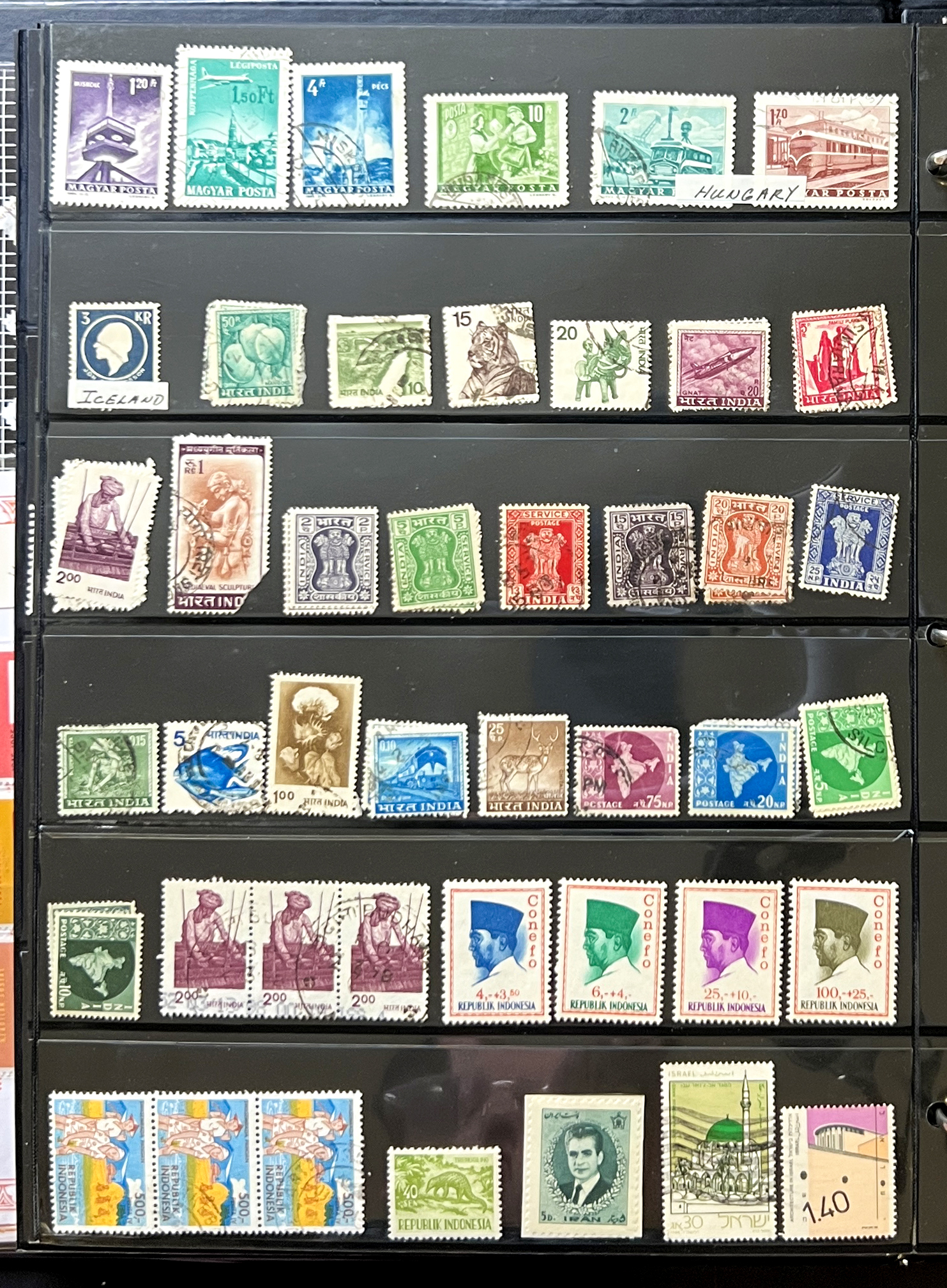 20260627_151604571_iOS.jpg