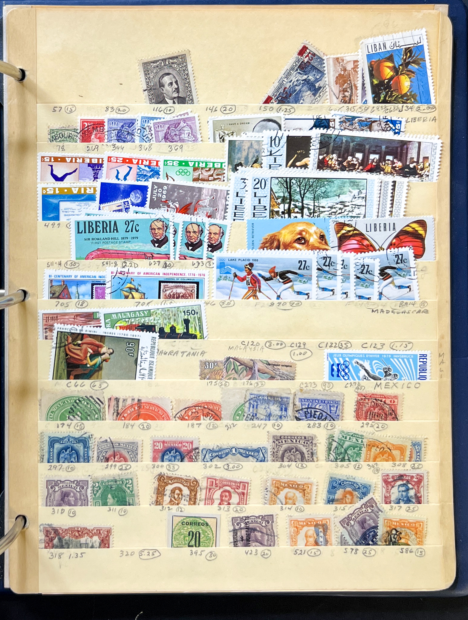 20260627_152034338_iOS.jpg