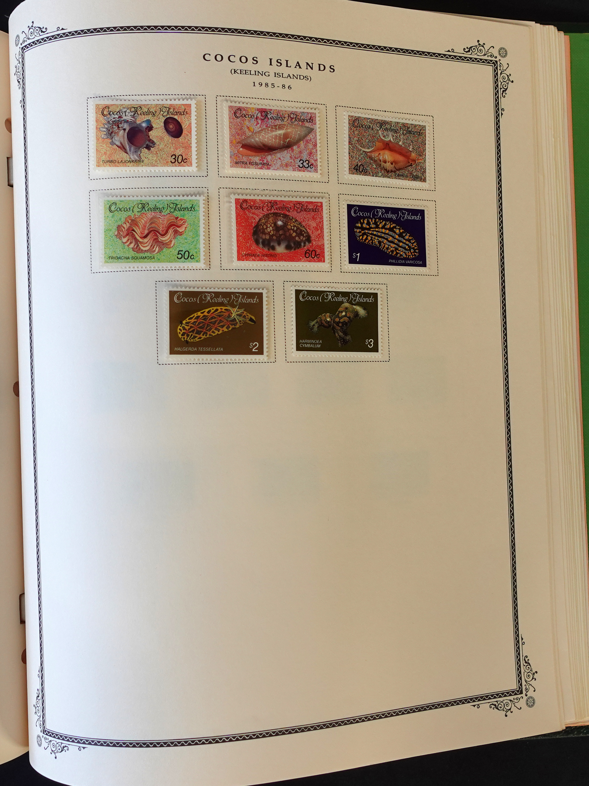 DSC01692.jpg