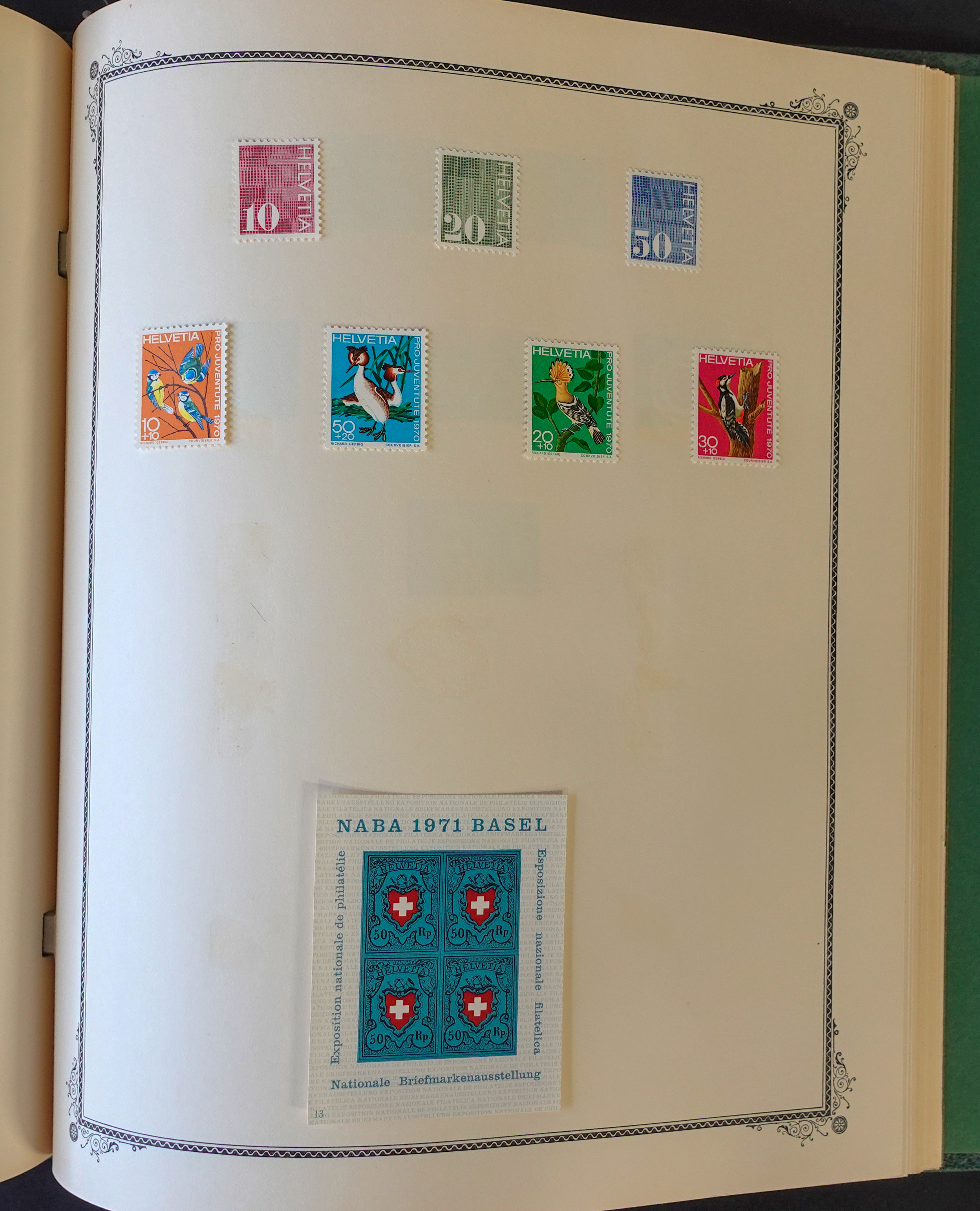 DSC01622.jpg