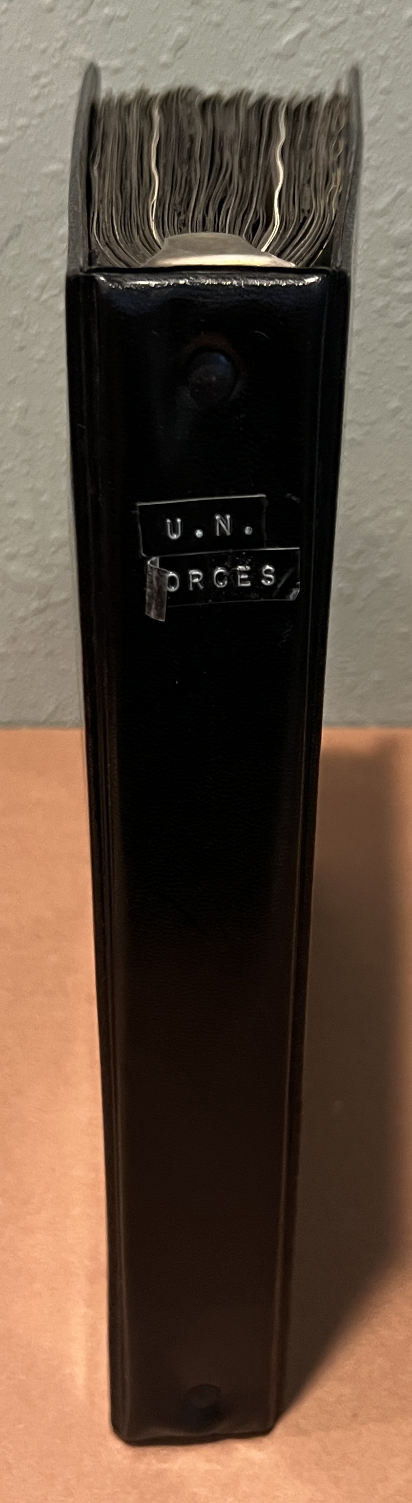 20260720_154405997_iOS.jpg