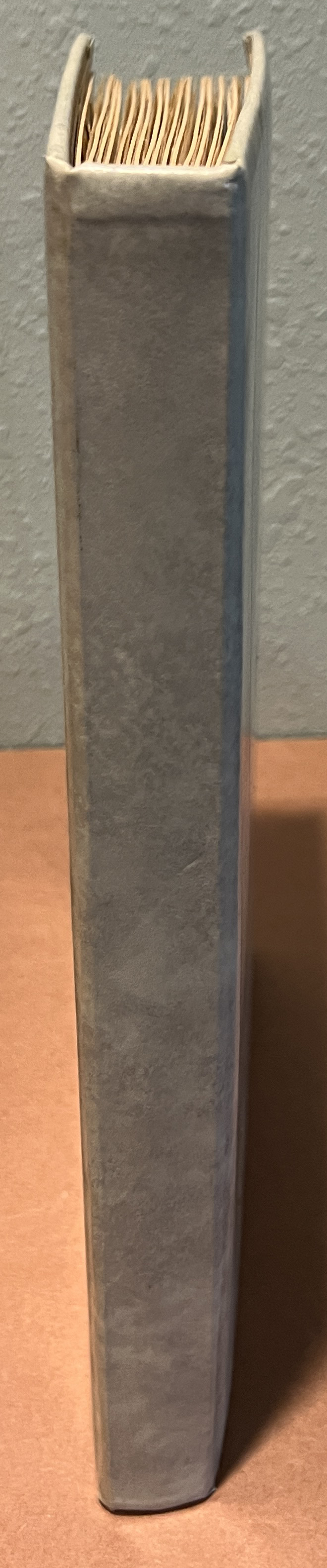 20260721_173728154_iOS.jpg