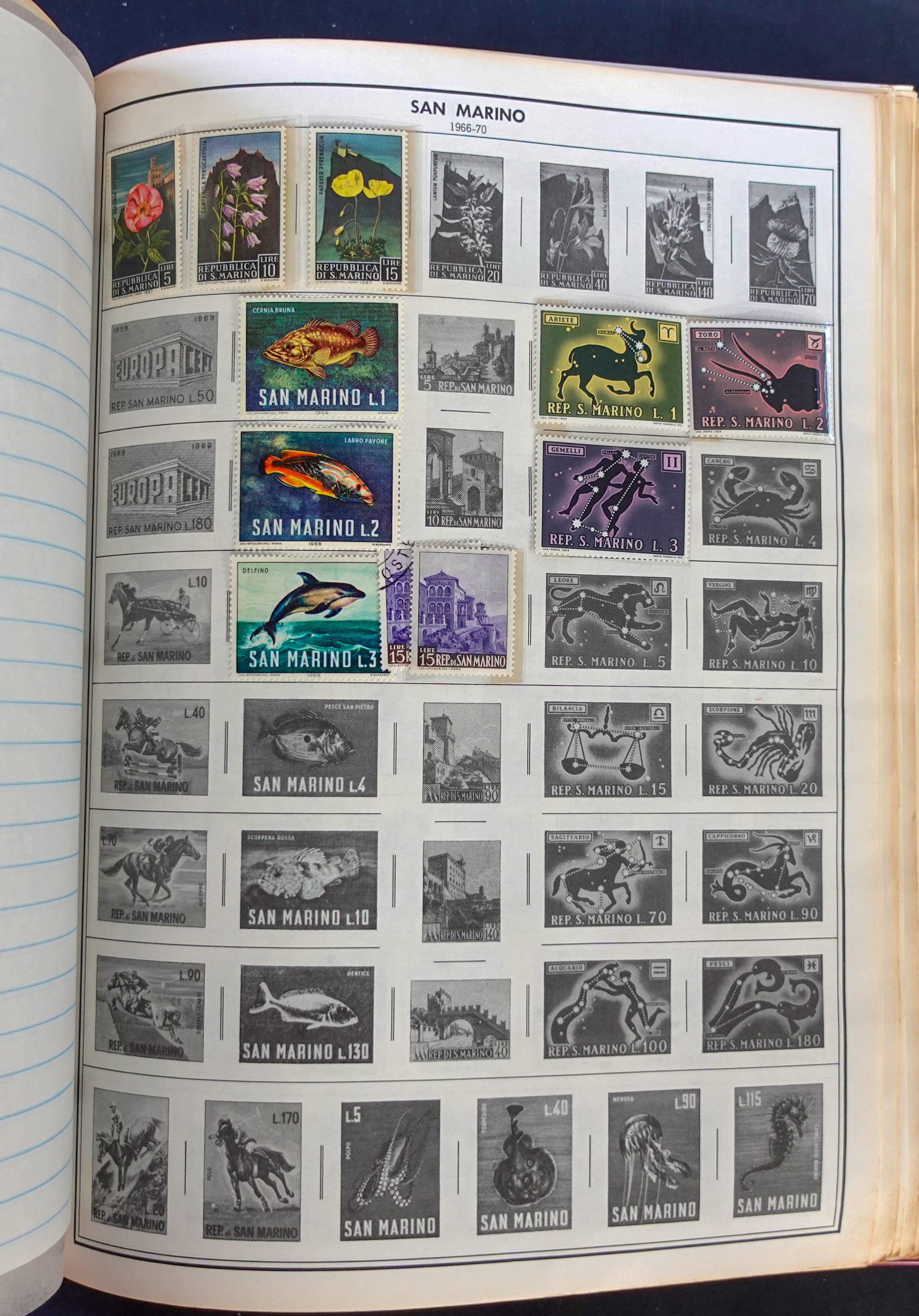 DSC04029.jpg