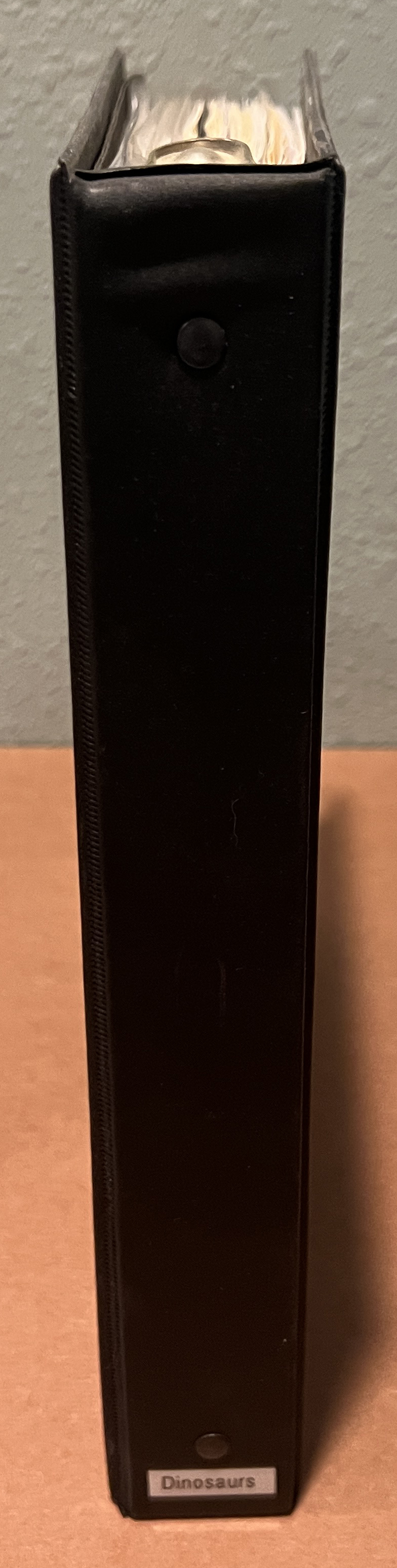 20260811_171356520_iOS.jpg