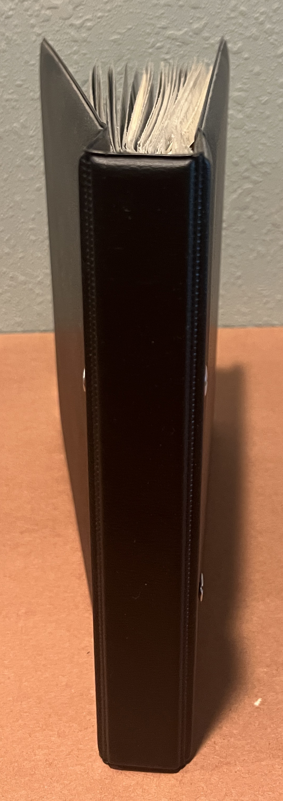 20260810_161414195_iOS.jpg