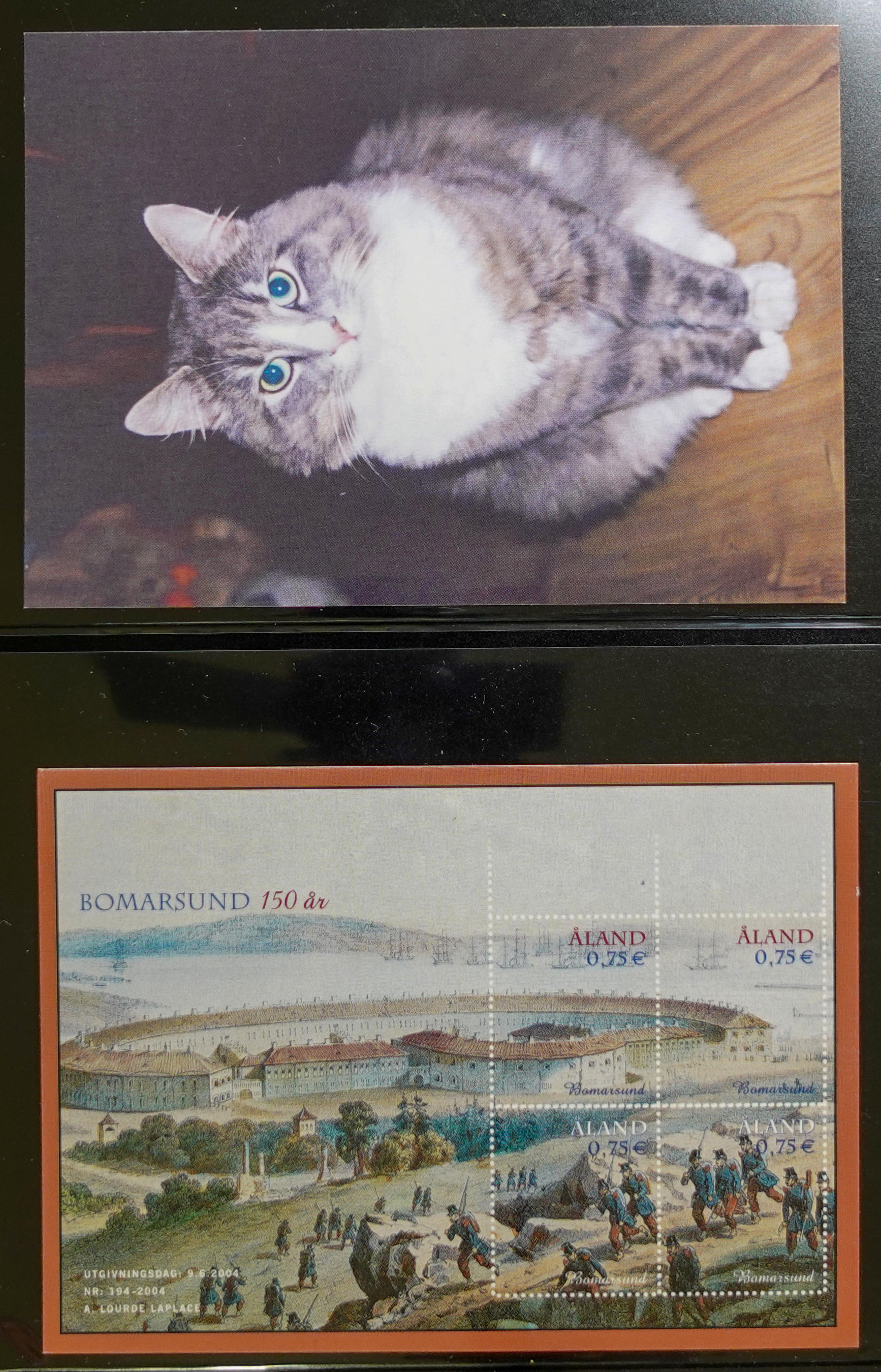 DSC05550.jpg
