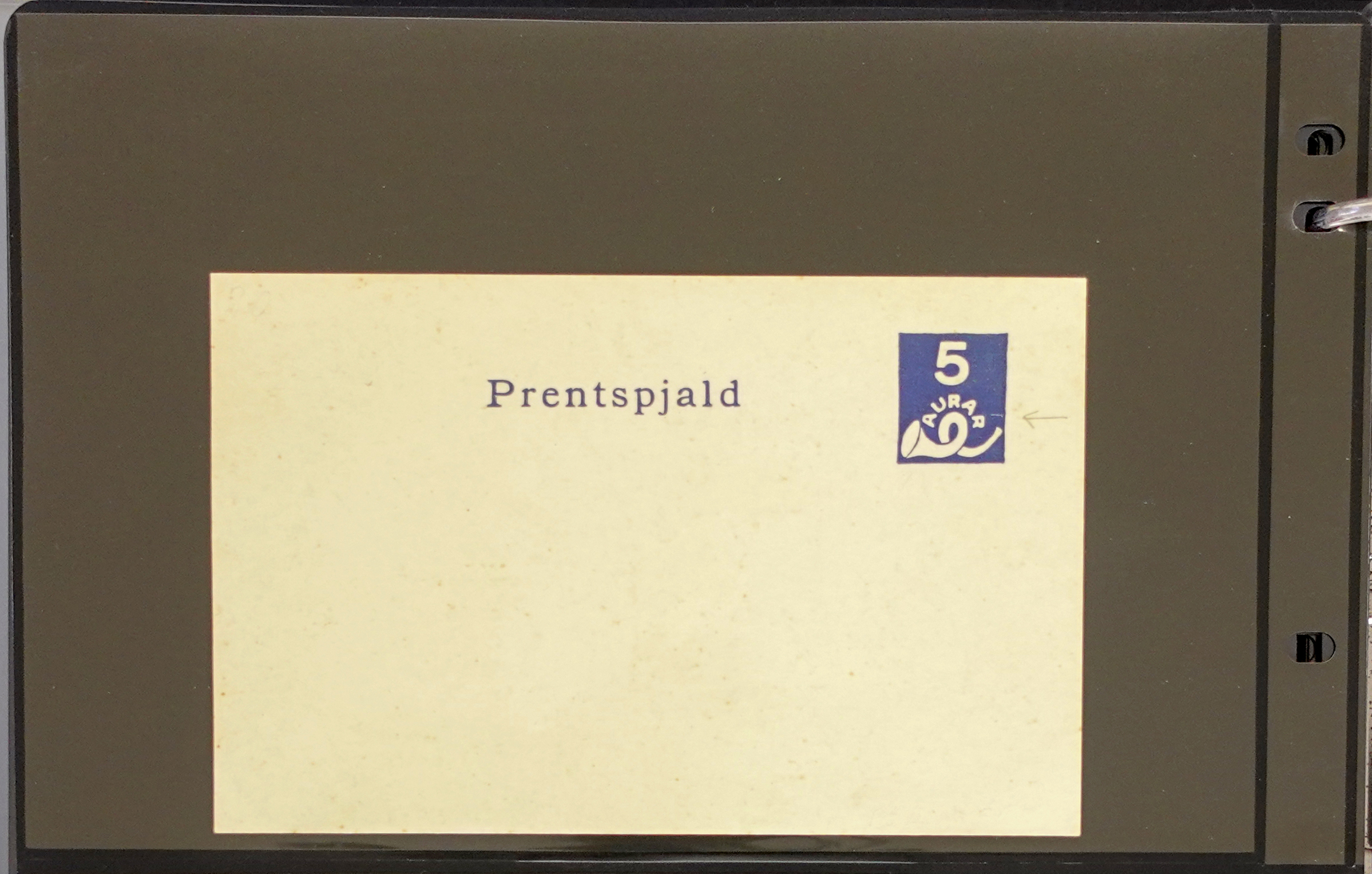 DSC05780.jpg
