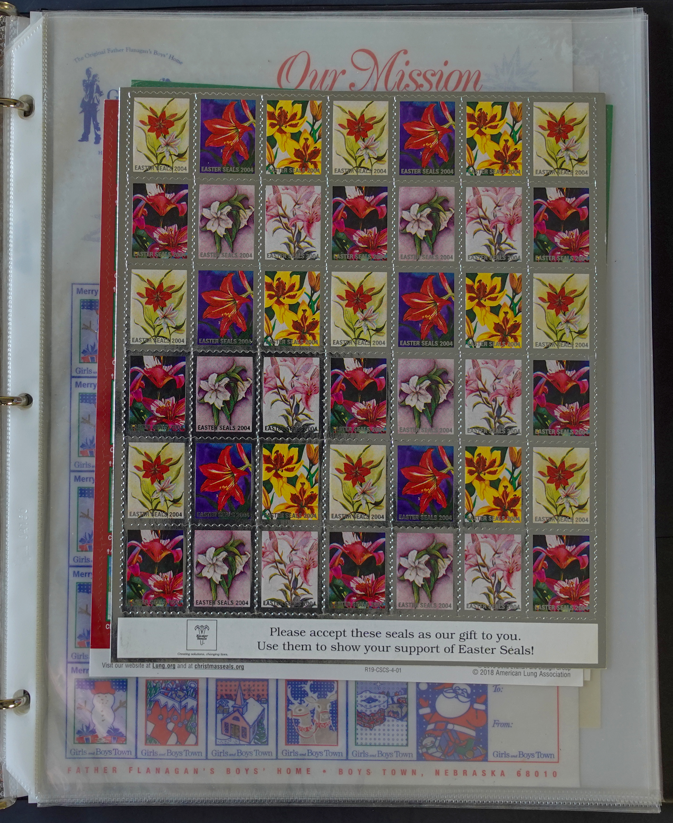 DSC07010.jpg