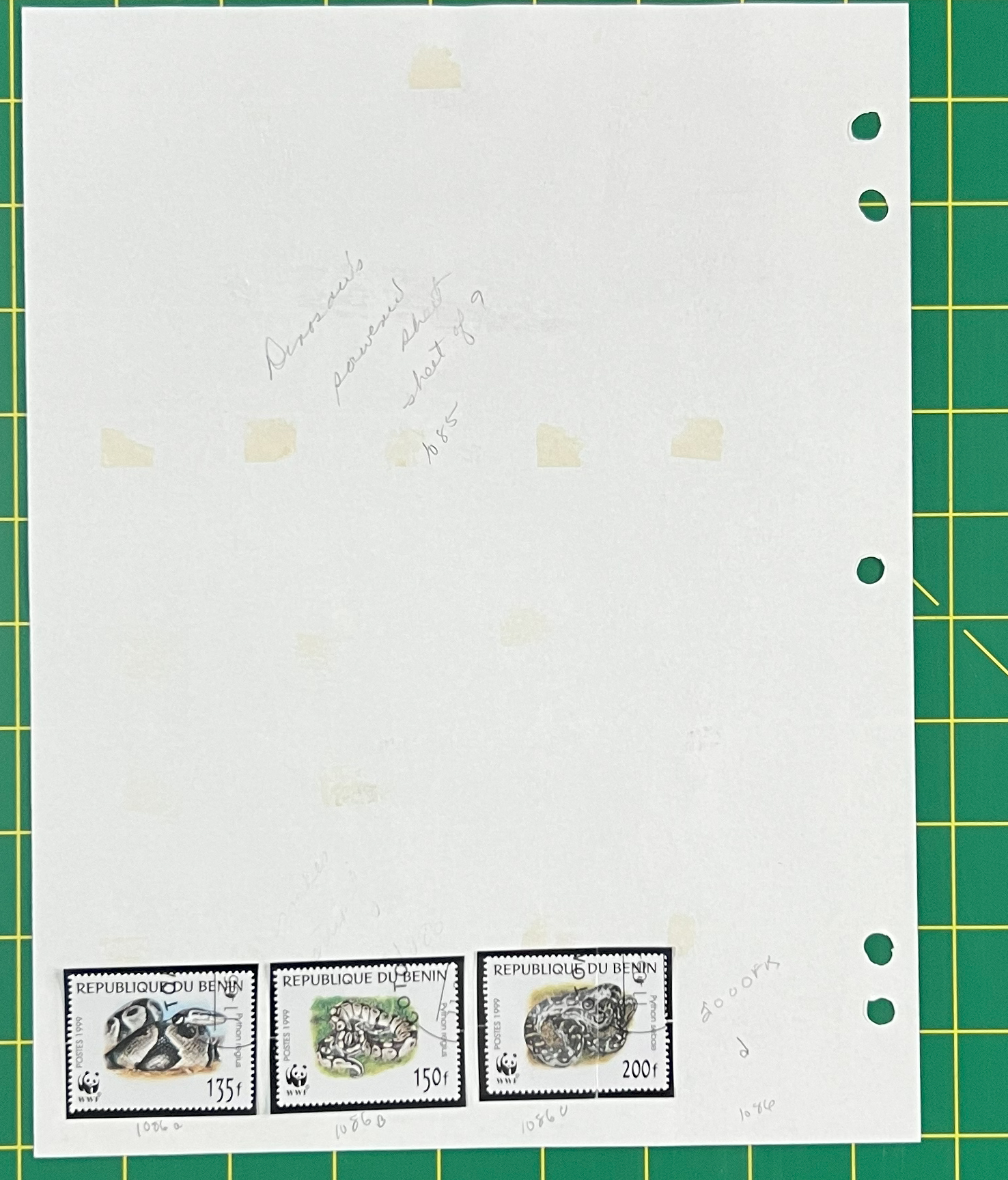 20250709_215949626_iOS.jpg